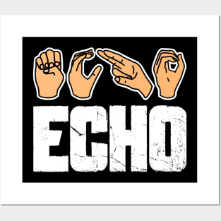 Echo Posters and Art